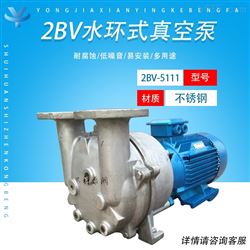 2BV5111不銹鋼真空泵 水環式 5.5KW