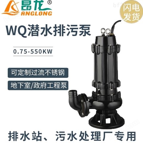 WQ自动耦合潜污泵 移动式潜污水泵