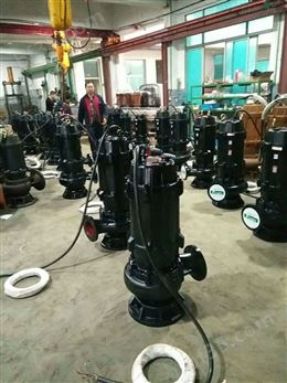 WQ潜污泵带耦合提升装置潜水电泵立式污水泵