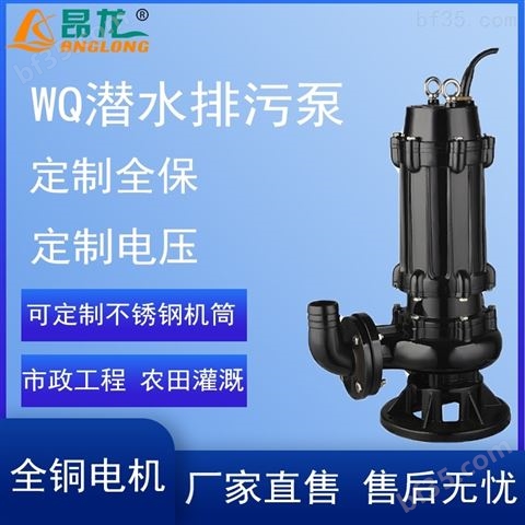 WQ潜污泵带耦合提升装置潜水电泵立式污水泵