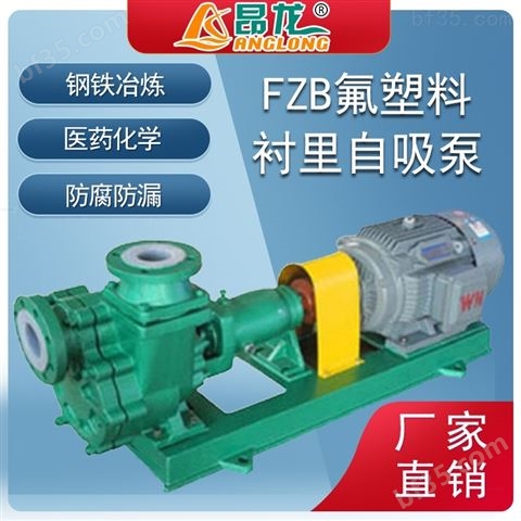 合金电动卧式FZB单级氟塑料化工液体自吸泵