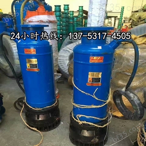 自吸式隔爆潜水排沙泵BQS50-300/4-110/N梧州市图片