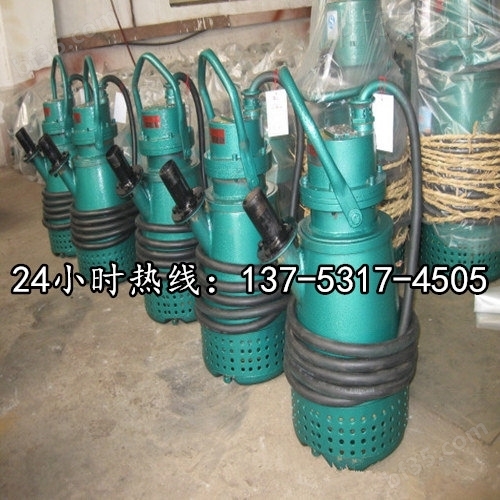 BSQ)系列高耐磨高浓度大小流量全扬程矿用排沙立泵BQS15-45-5.5/N南京市价格
