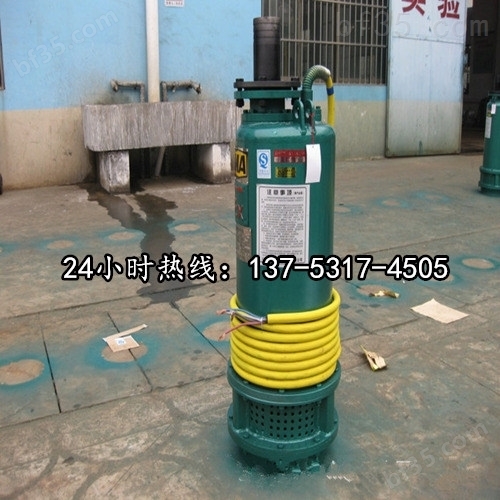 潜水立式排污泵BQS25-150/2-30/N昆明市图片