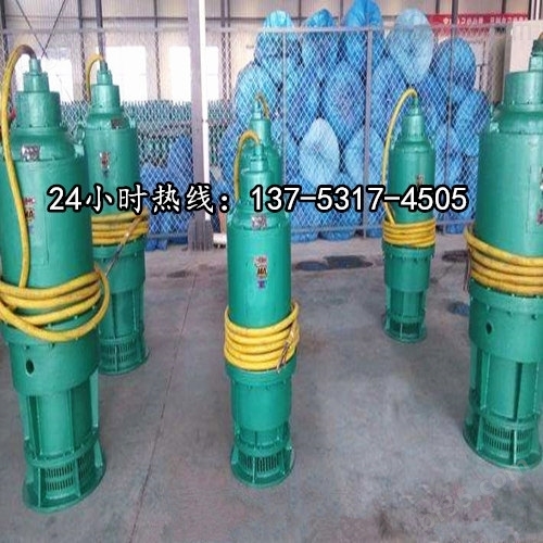 潜水立式排污泵BQS25-150/2-30/N昆明市图片