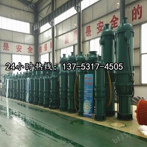 高扬程潜水排污泵BQS100-240/4-160/N巴中品牌