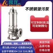 WQP耐强酸强碱潜水电泵 固定式DN100不锈钢